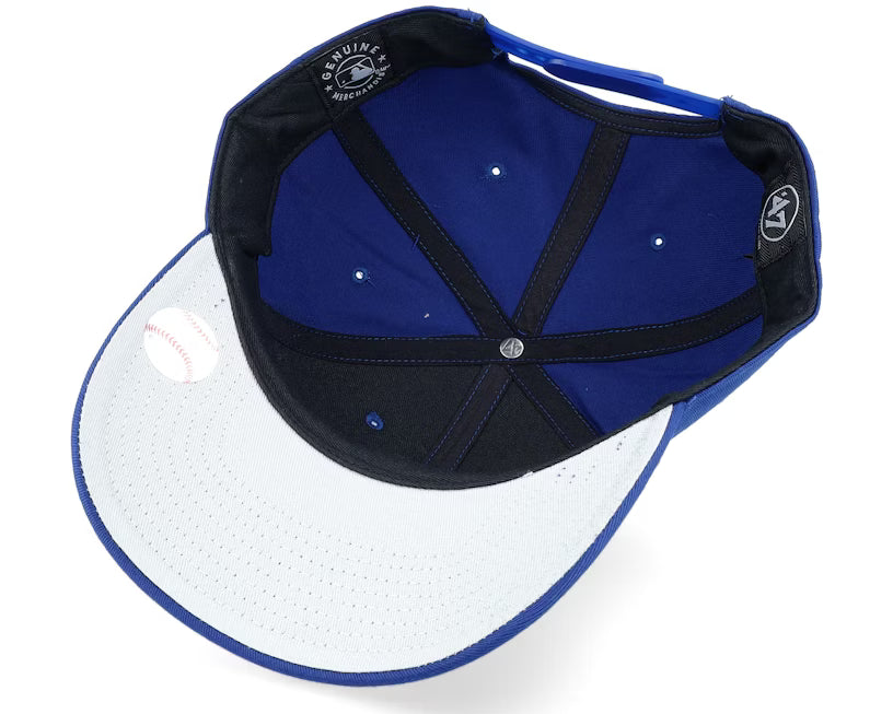 Los Angeles Dodgers Raised Basic Royal/White