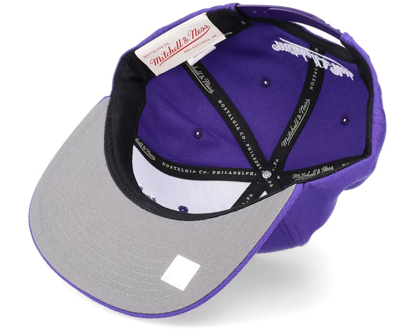 Los Angeles Lakers Team Ground 2.0 Purple Snapback