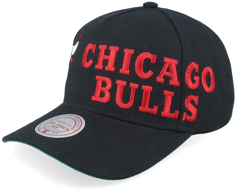 Chicago Bulls Busted Pro Black A-frame
