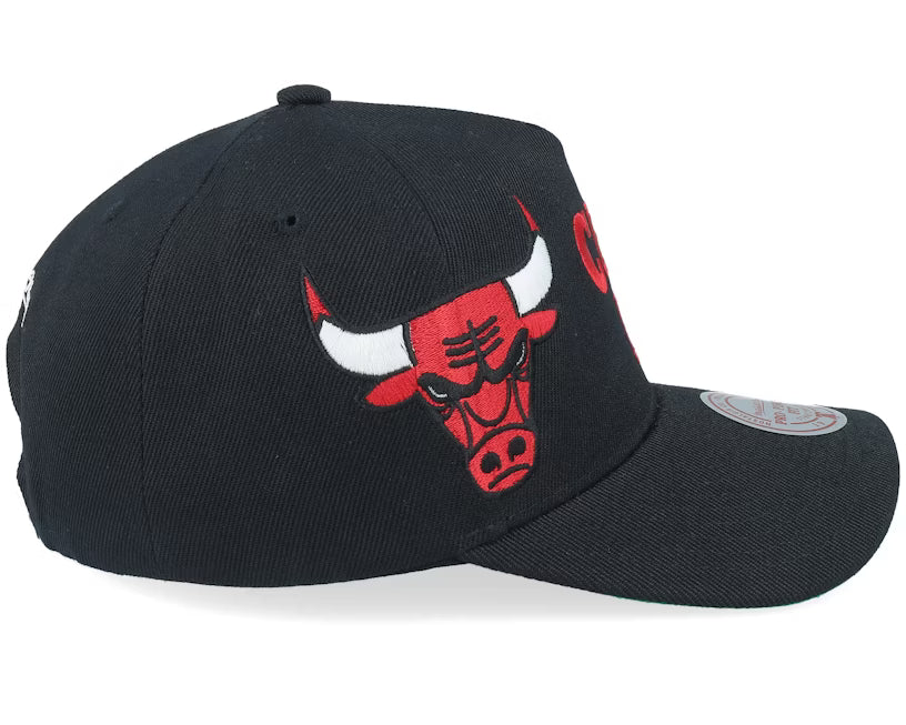 Chicago Bulls Busted Pro Black A-frame