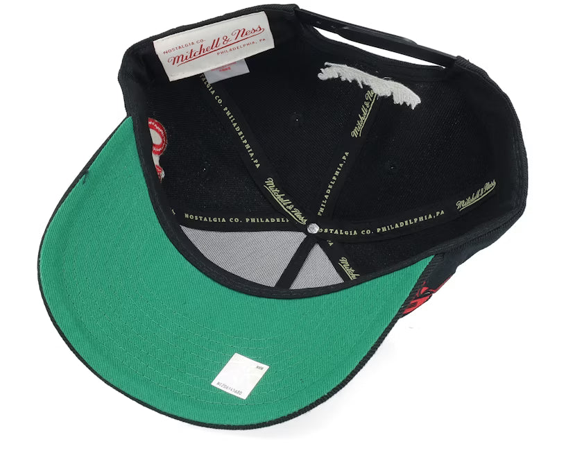 Chicago Bulls Busted Pro Black A-frame