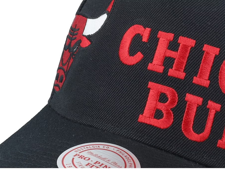Chicago Bulls Busted Pro Black A-frame
