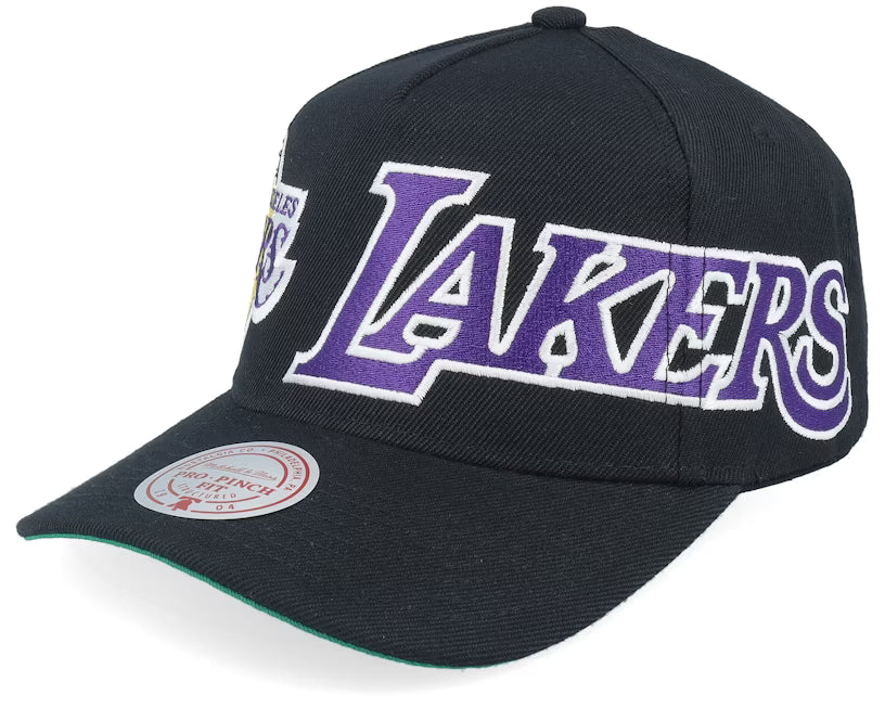 Los Angeles Lakers Busted Pro Black A-frame