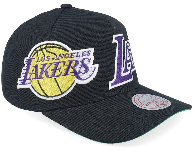 Los Angeles Lakers Busted Pro Black A-frame