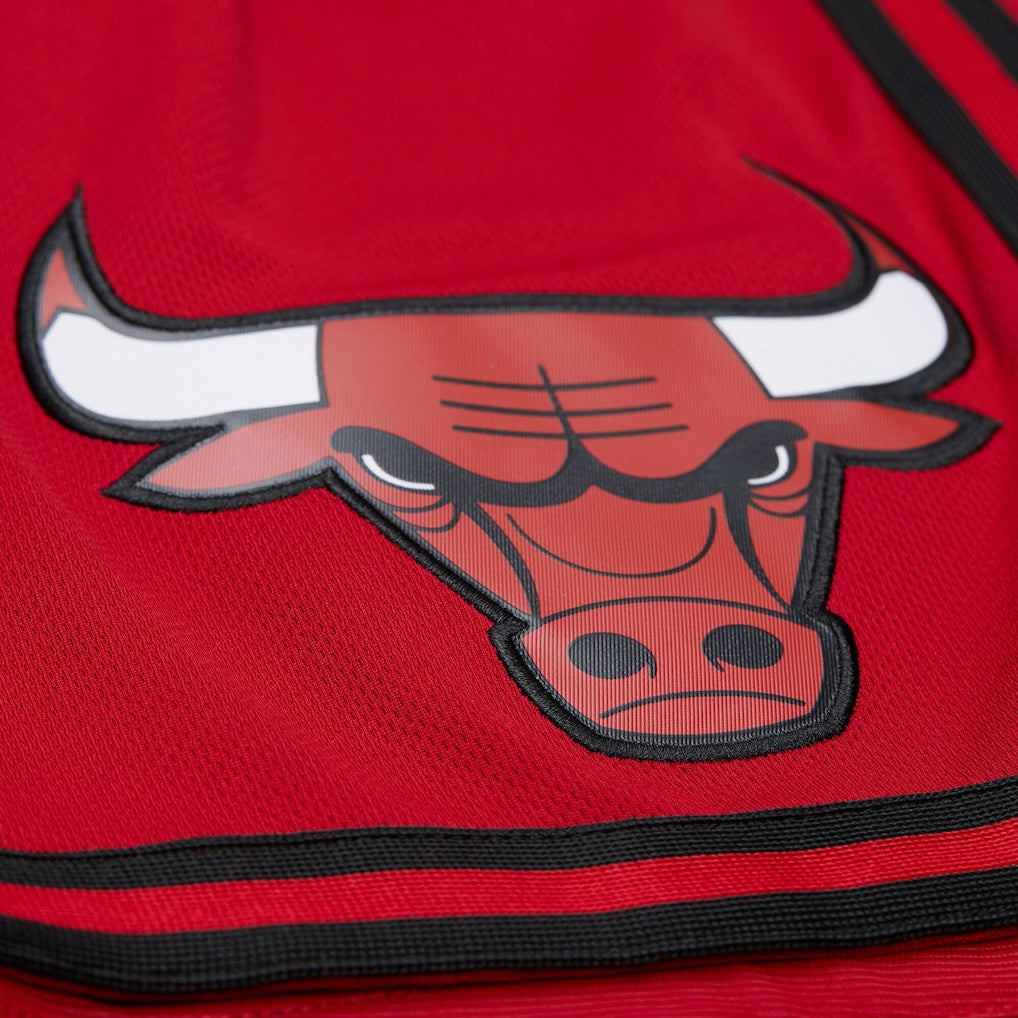 NBA Shorts Chicago Bulls Red